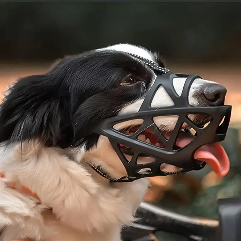 Soft Mesh Dog Muzzle – Breathable, Adjustable Muzzle to Prevent Biting and Chewing – for Walks, Training & Vet Visits, S–XL