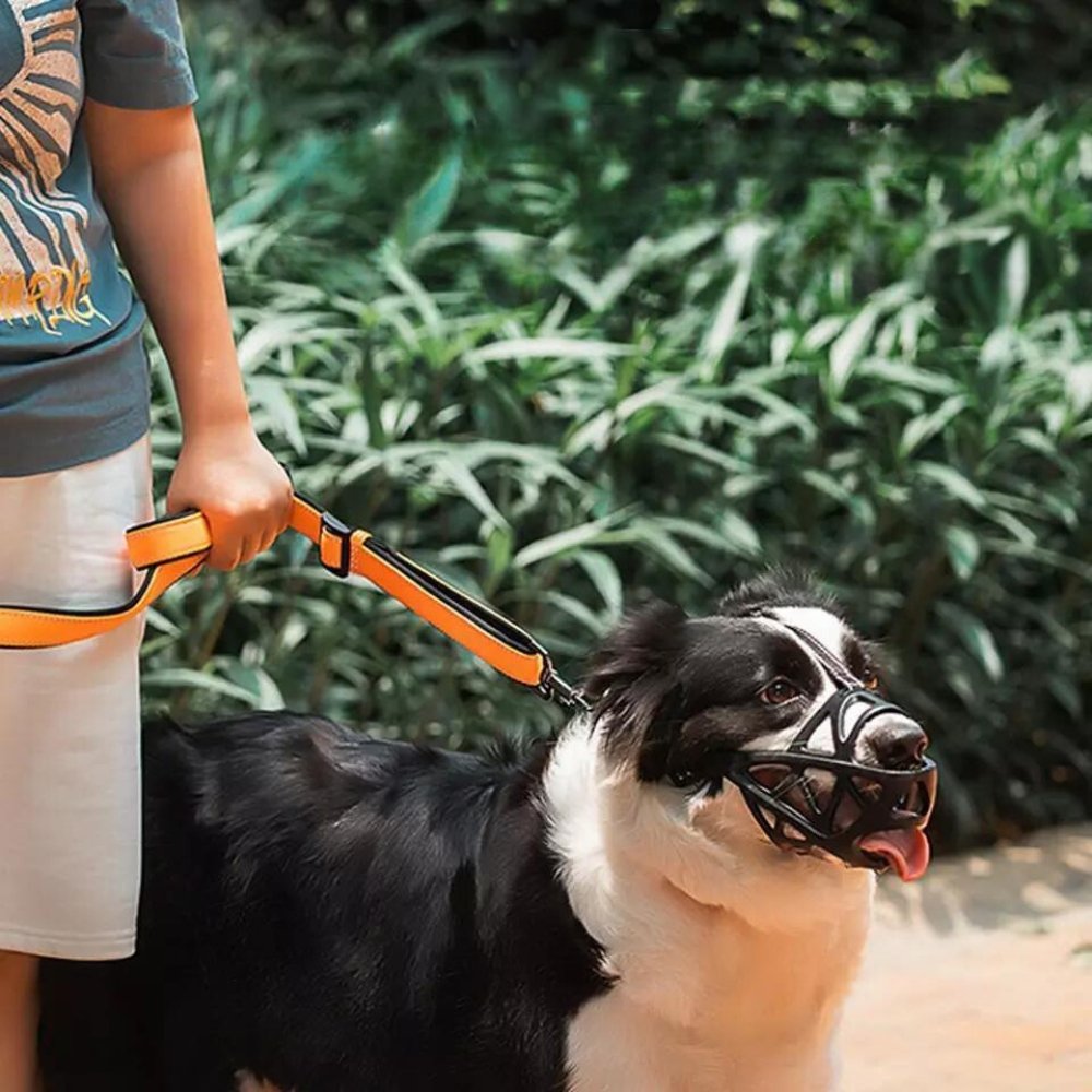 Soft Mesh Dog Muzzle – Breathable, Adjustable Muzzle to Prevent Biting and Chewing – for Walks, Training & Vet Visits, S–XL
