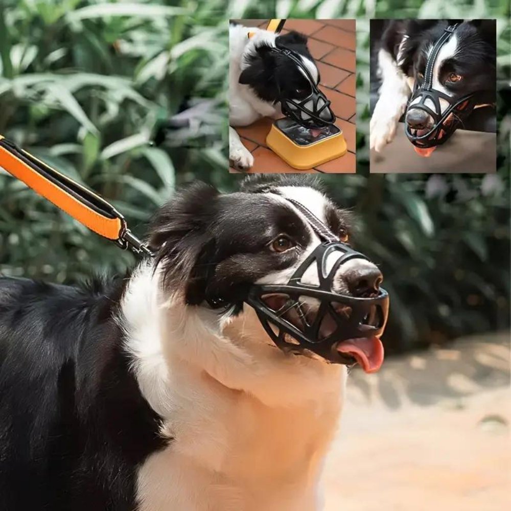 Soft Mesh Dog Muzzle – Breathable, Adjustable Muzzle to Prevent Biting and Chewing – for Walks, Training & Vet Visits, S–XL