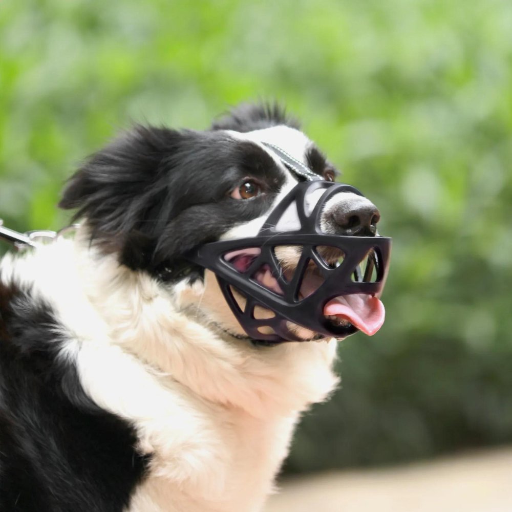 Soft Mesh Dog Muzzle – Breathable, Adjustable Muzzle to Prevent Biting and Chewing – for Walks, Training & Vet Visits, S–XL