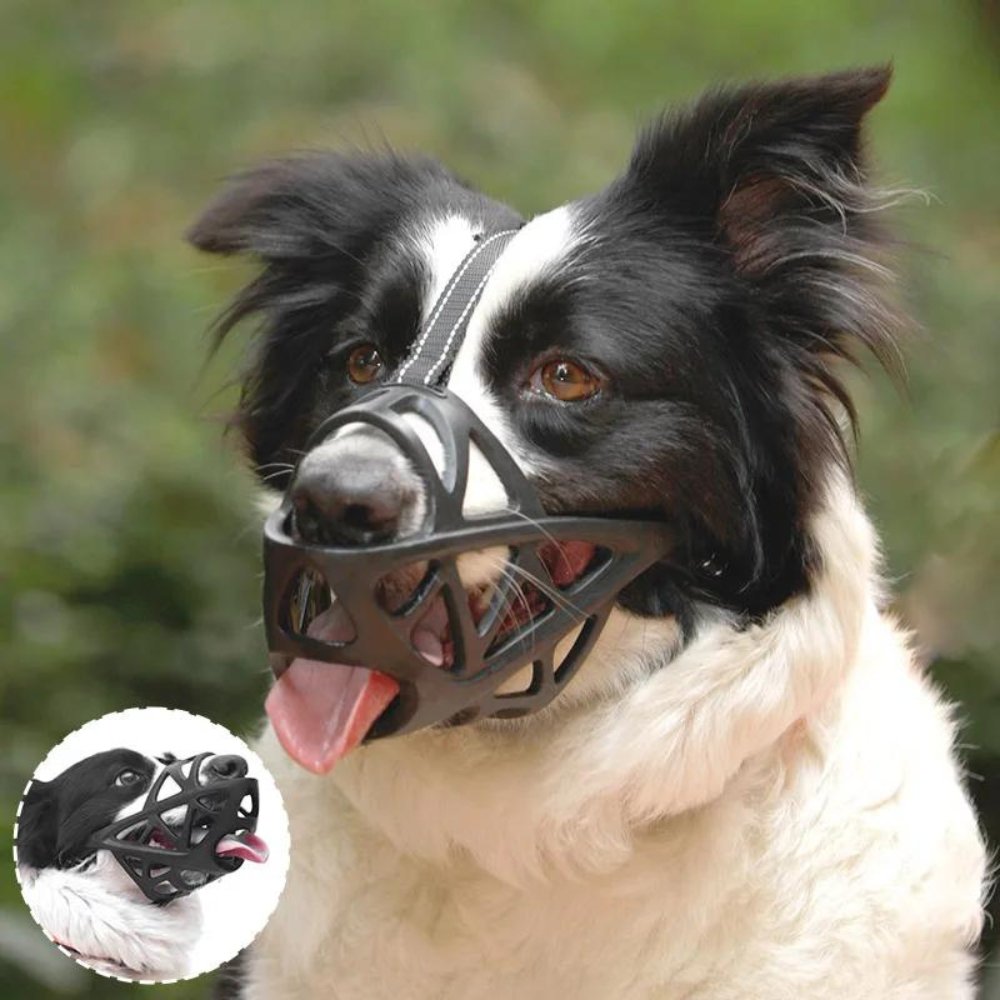 Soft Mesh Dog Muzzle – Breathable, Adjustable Muzzle to Prevent Biting and Chewing – for Walks, Training & Vet Visits, S–XL